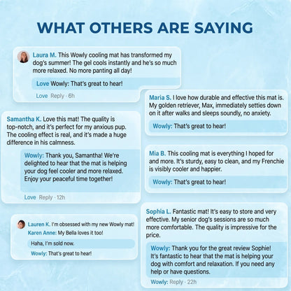 ChillPup - Self-Cooling Dog Mat 2.0